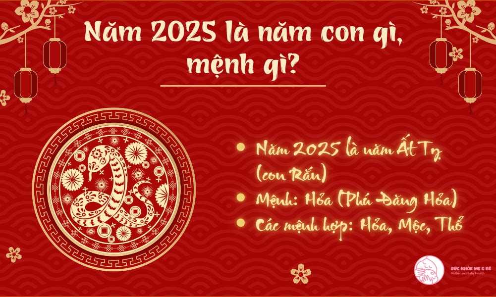 Năm 2025 là năm con gì, mệnh gì?