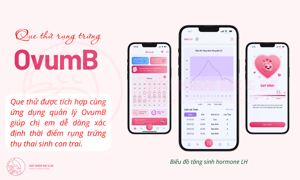 Biểu đồ tăng sinh LH trên app OvumB