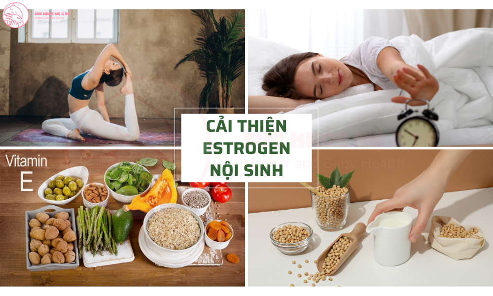Những thói quen giúp tăng cường Estrogen nội sinh