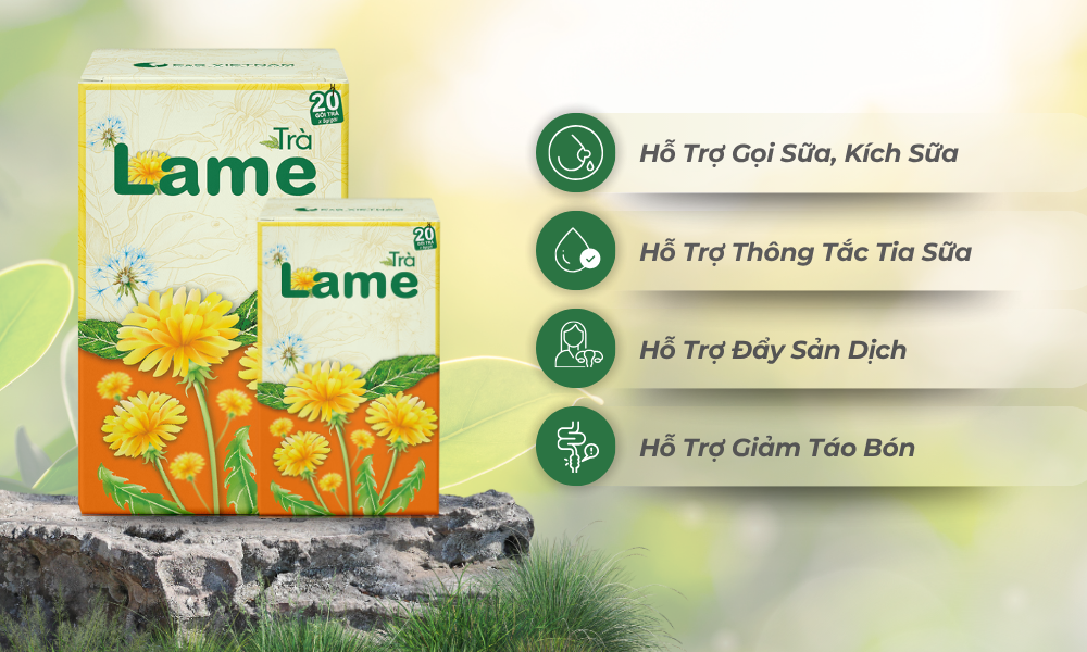 Trà Lame với thành phần chính là lá sung và bồ công anh, mang lại nhiều lợi ích hỗ trợ mẹ sau sinh