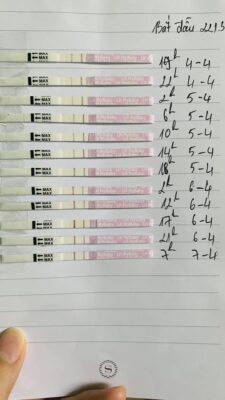 490982552_9568280233278745_1755742224468544082_n