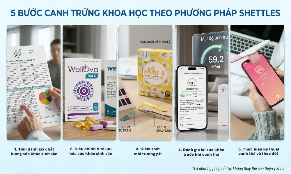 kinh-nghiem-ap-dung-phuong-phap-shettles-thanh-cong-cho-bo-me-1